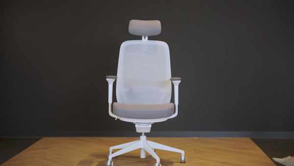 Ergonomic chair EasePRO features